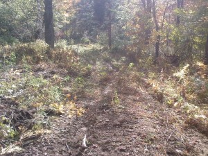 The start of the trail off the Tin Shanty Road going to the groomer shed. Sept. 29, 2013.