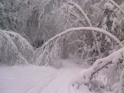 Trail Closed by Too Much Snow