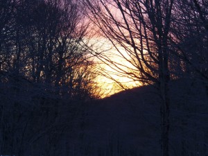 It looks like the sky is on fire with this sun set! March 22, 2015