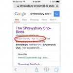 Mobile View of Google Search